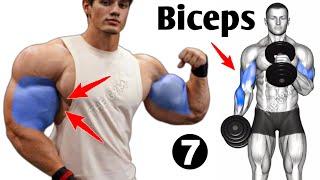 7 Effective Biceps Exercises At Gym - Biceps Workout