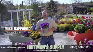 Hoffman's Supply and CST Versa- Lok Retaining Wall System