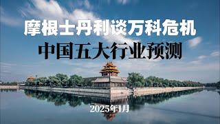 摩根士丹利谈万科危机   五大行业趋势预测   2025年1月