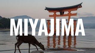 UN DÍA EN MIYAJIMA - JAPÓN || Comiviajeros.com