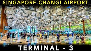 A COMPLETE guide on TERMINAL-3 at SINGAPORE CHANGI AIRPORT | Airport Experience