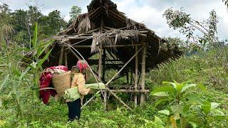 Poor 16-year-old girl struggles to find new accommodation after being evicted from her tent