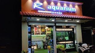 R Aquarium Fish Shop