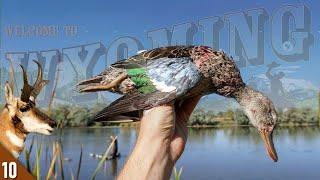 Wyoming OPENING DAY Duck Hunt | 28 Gauge Duck and Goose Hunting