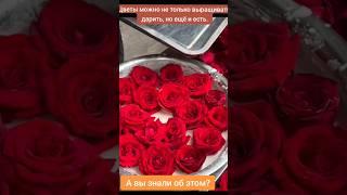 Съедобные цветы: необычные рецепты для гурманов #diy #цветы #shorts  #еда #plants #garden #flowers