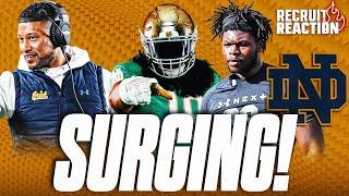 Notre Dame FIGHTING for More FLIPS Before National Signing Day | New Steve Wiltfong Recruiting Info