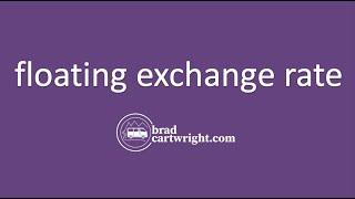 What is a Floating Exchange Rate System?  | IB International Economics | The Global Economy