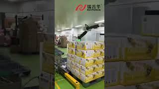 Robotic carton packaging system and robotic palletizer