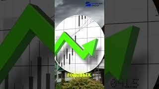 Инвестиции в Сочи | Бизнес в Сочи | Рынок недвижимости в Сочи  Starkina group