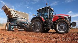 Massey Ferguson 8S Harvesting Peanuts