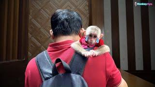 Dad and Kyo: Goodbye, dear home  - Kyo is emotional, doesn't want to leave!