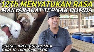 Sukses Breeding Domba Dari 10 Jadi 1000 Ekor Dengan Pakan MURAH Terbaik | CERITA PETERNAK SUKSES