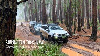 Barrington Tops - 4wding, camping & shenanigans - HGT - Happy Go Travel