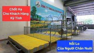 Chốt Hạ Chuồng Nái Đẻ Và Vách Hậu Bị Chống Rỉ  Hoàn Toàn Về Với Chủ Trại | Khởi Nghiệp TV