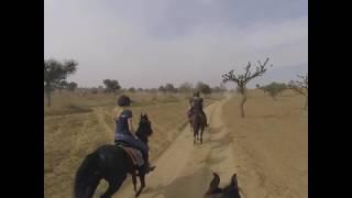 Mandawa Day 1 (Horseback Safari) - By Joe Alapatt