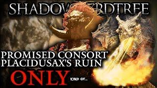 Can You Beat Promised Consort Radahn Using Only Placidusax's Ruin? ʸᵉˢ