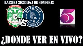 MARATHON VS MOTAGUA EN VIVO JORNADA 8 DE LA LIGA DE HONDURAS CLAUSURA 2023 ▶️ CANALES Y HORARIO