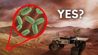 Have We Already Found Life On Mars?