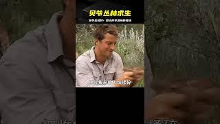 貝爺叢林求生 盡享荒野辣條 #荒野求生 #荒野独居 #求生挑战 #生存挑战 #荒野