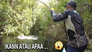 GELEGAR HENTAKAN DI SUNGAI BIAWAK .. YANG MENYAYAT JIWA ..  ..