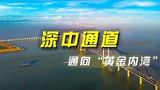 深中通道启新程，引领粤港澳大湾区新纪元 「央视财经评论」 20240702 | 财经风云