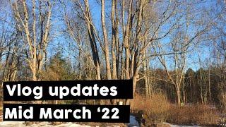 Latvian Homestead Mid March Vlog Update