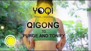 Qigong to Purge and Tonify