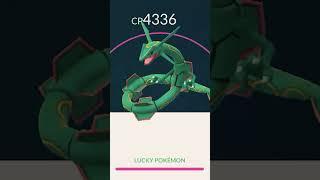 MAXING Mega Rayquaza during GoFest NYC!   #pokemongo #megarayquaza #gofest2023 #rayquaza #pokemon