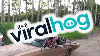 Car Still Runs After Being Smashed by a Tree || ViralHog