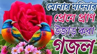 যাওরে মাঝি নৌকা তুমি বাইয়া | bangla gojol |notun gojol | gojol | m islamic song | new song | naat