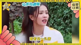 盘点娱乐圈中的“金句”搞笑美女！白鹿张口秒变白梦妍，金晨直播啥都敢说真没拿我们当外人！爱豆星日常