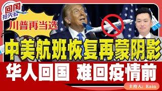 ️川普再当选，中美航班恢复再蒙阴影！华人回国 难回疫情前！《回国抢先看》 第177期Nov 06, 2024