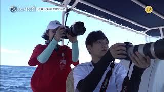 20181214 은밀하고 위대한 동물의 사생활 예고 ㅣ KBS방송