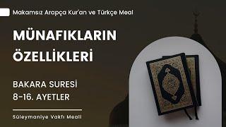 2- Makamsız Bakara Suresi 8-16. Ayetler - Münafıkların Özellikleri | Süleymaniye Vakfı Meali