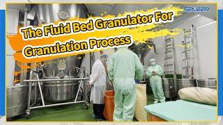 The Fluid Bed Granulator For Granulation Process | Senieer | Application Of FBG