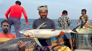 Fourth Day Fantastic Day  | We Caught Lot of Variety Fishes in Deep Sea Fishing | Tuna Fishes