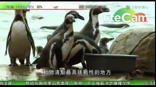 倫敦動物園年度動物清點 水族館為最大挑戰