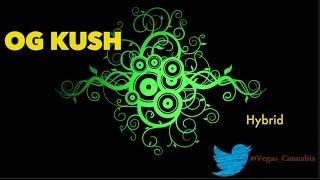 OG Kush Strain Information /  Review