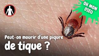 Que se passe-t-il quand une tique vous mord ?