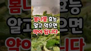 봄나물, 효능 알고 먹으면 약이 됩니다 #나물 #봄나물 #나물요리 #나물반찬