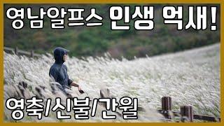 영남알프스 하늘억새길 환종주 영축/신불/간월 등산 가이드