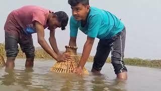 Village Ponds In Amazing Fish Catching | Amazing Polo Fishing | Mr Fun Box 173