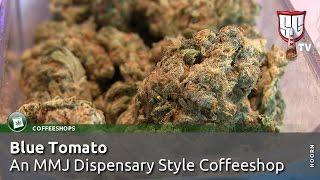 TOP CANNABIS COFFEESHOP: Blue Tomato in Hoorn, Holland - Smokers Guide TV Amsterdam