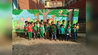 Green Day Celebration In Future Stars School Aurangabad