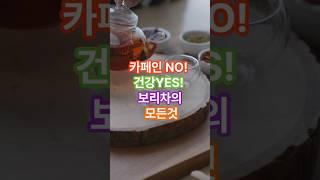 카페인NO! 건강YES! 보리차의 모든것