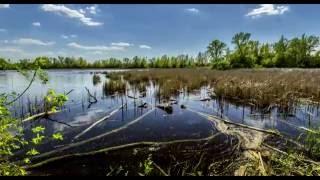 Male karpaty TIME Lapse 4K - Slovakia