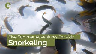 Snorkeling | Five Summer Adventures for Kids