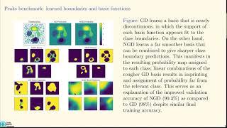 A block coordinate descent optimizer for classification problems exploiting convexity by Gulian