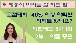 저렴한 세종시 아파트 매물찾기 - 35~40% 하락한 84타입 매물 2부 - 아름동 종촌동