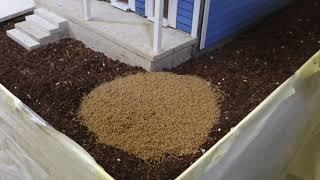 New Orleans termites eat a tiny house from the inside out